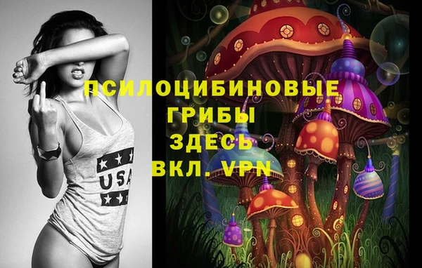 хмурый Козловка
