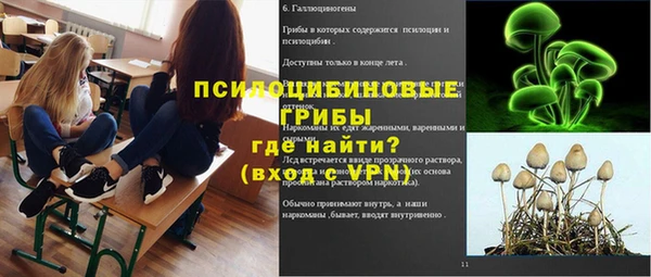 хмурый Козловка