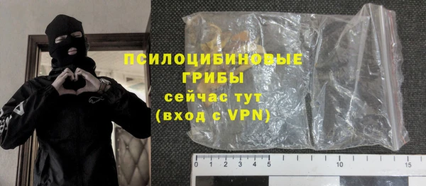 ГАЛЛЮЦИНОГЕННЫЕ ГРИБЫ Киренск