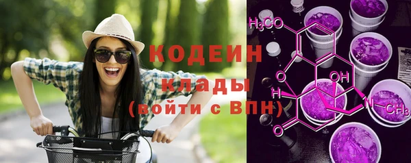 2c-b Козельск