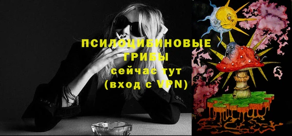 ГАЛЛЮЦИНОГЕННЫЕ ГРИБЫ Касимов